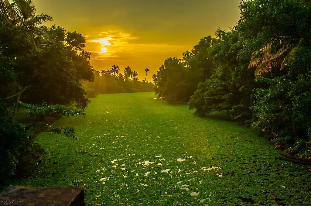 Guest house The Wind N Waves Hotel Alappuzha